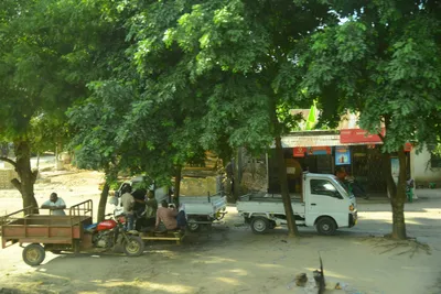 DSC_7715 (Large).JPG